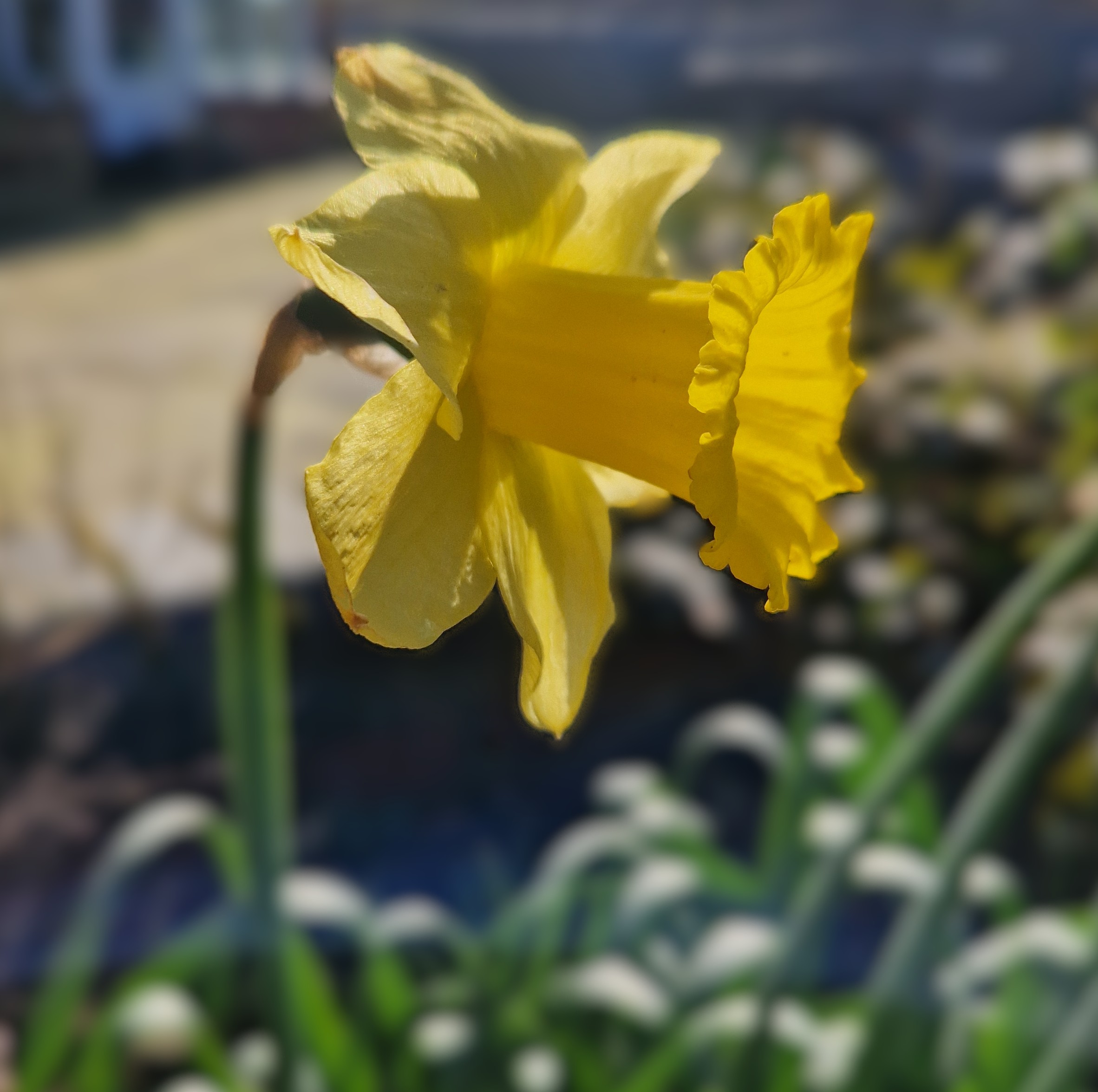 A look back at 2025 and the start of 2026 as a Coaching Psychologist